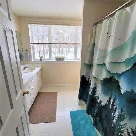 Spacious 3Br 3Ba Sleeps 8 Ski On Off Jiminy Mountain Resort Hancock Exterior photo